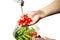 Hands washing fresh cherry tomatoes in running water isolated