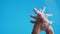 Hands washing her hands using soap foam on blue background, Close up shot. Prevention from, Bacteria, healthcare