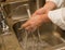 Hands Washing in Stainless Steel Sink with White Sleeves