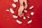 Hands with white flowers on red background