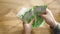 Hands of woman counting russian ruble banknotes at room