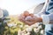 Hands of woman with eggs on farm with chickens, grass and sunshine in countryside field with sustainable business