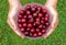 Hands of a woman holding a bowl of cherries