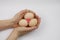 Hands of a woman holding fresh hen eggs