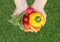 Hands of a woman holding fresh vegetables