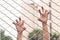 Hands of a woman on mesh cage