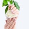 Hands of a woman with pink french manicure with white rose