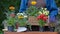 Hands of woman planting beautiful flowers at the garden or backyard