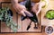 Hands woman using cloth wipe dust off leaves,Clean the leaves of houseplants,Plant Grooming