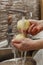 Hands of a woman washing two peeled patatoes under water