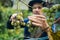 Hands of workers cutting white grapes from vines while harvesting wine in an Italian vineyard.