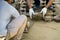 Hands of workman make it fit and to place stone pavers in a row. Construction site of pavement octagon bricks road. Installation