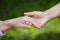 Hands of young adult and senior women over green background