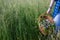 In the hands of a young girl, a basket with a bouquet of wild flowers in close-up against a background of tall green grass. space