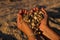 Hands of a young girl with a handful of seashells and sand in the form of a heart in the soft sunset sun on the beach