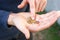 Hands of a young man close-up, counting a trifle, iron coins money of Ukraine