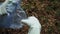 Hands of a young man in gloves throw a bottle into a trash bag. Garbage collection in the forest.