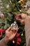 Hands of young man putting decorative toy ball on branch of coniferous tree