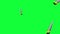 Handsaw tools falling animation on green screen chroma key , graphic elements
