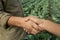 Handshake Between Agricultural Specialist and Owner Of Plantation