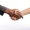 Handshake men and women. men and women shaking hands on white background