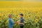 Handshake. Two farmer standing and shaking hands in a sunflower field.
