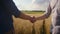 handshake of two men in shirts against the background of a wheat field at sunset