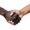 handshake between two people, african american and caucasian man, generative ai