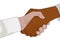 Handshake of white and black person