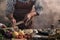 Handsome bearded cheef cook prepairing spaghetti on a kitchen