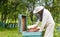 Handsome beekeeper in protective uniform checking the beehive