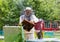 Handsome beekeeper in protective uniform checking the beehive