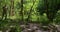 Handsome brutal man sportsman jogging in the forest in special khaki clothes