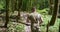 handsome brutal man sportsman jogging in the forest in special khaki clothes