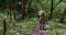 Handsome brutal man sportsman jogging in the forest in special khaki clothes