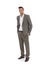 Handsome businessman in grey suit