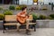 Handsome child with guitar sitting on a chair in the park, dressed in a shirt,