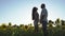 Handsome couple kisses at the sunflower field during the sunset