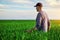 Handsome farmer. Young man walking in green field. Spring agriculture