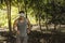 A handsome and fit asian man trail running through a dense tropical forest. Cardiovascular training
