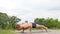 Handsome flexible Athletic man doing yoga asanas in the park