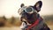 Handsome French Bulldog Wearing Pilot Goggles and Scarf Ready for Action - Generative AI