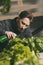 Handsome grower carefully irrigating plants indoor