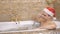 Handsome guy in santa hat takes a hot bath