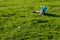 Handsome little boy lying on grass. Little dreamer lies in meadow with hat. Child in nature outside city. Carefree vacation