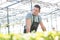 Handsome male botanist in plant nursery at greenhouse