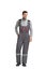 Handsome male in gray work overalls view