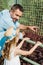 handsome man pointing with finger at cage while standing with cute daughter in zoo.