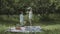 Handsome man proposing to beautiful girl on picnic