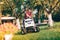 handsome man using lawn mower and cutting grass in home, residential garden